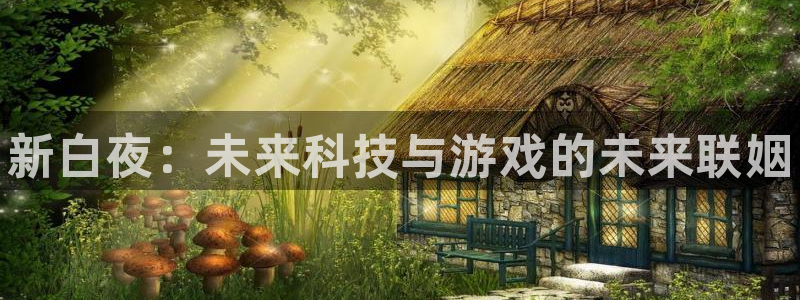 奇亿娱乐4主管：新白夜：未来科技与游戏的未来联姻