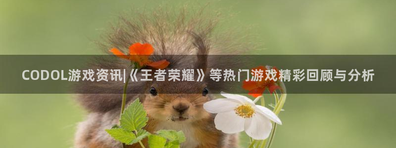 奇亿娱乐登陆地址