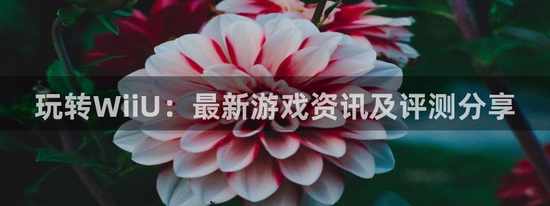 奇亿娱乐注册网站：玩转WiiU：最新游戏资讯及评测分享