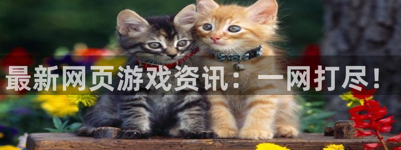 奇亿娱乐是什么：最新网页游戏资讯：一网打尽！