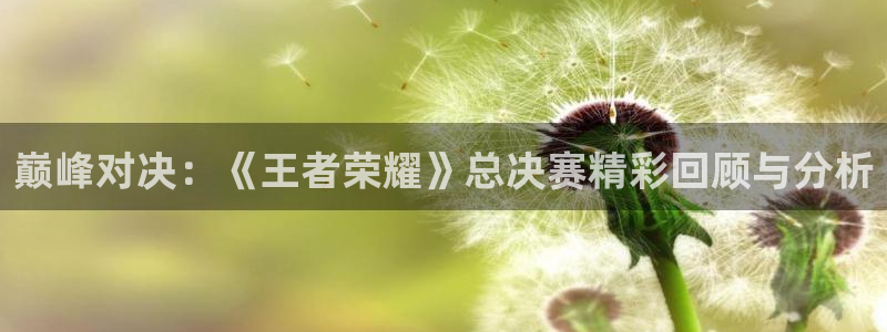 奇亿娱乐注册开户：巅峰对决：《王者荣耀》总决赛精彩回顾与分析