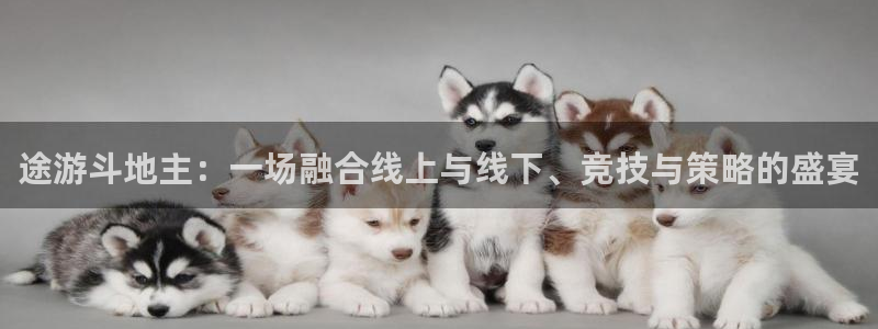 奇亿娱乐测速app：途游斗地主：一场融合线上与线下、竞技与策