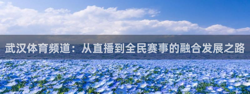 球神直播体育免费观看：武汉体育频道：从直播到全民赛事的融合发展之路