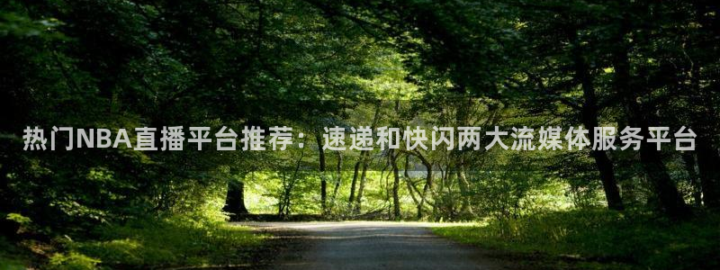球神直播足球直播：热门NBA直播平台推荐：速递和快闪两大流媒体服务平台