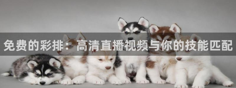 球神直播间：免费的彩排：高清直播视频与你的技能匹配