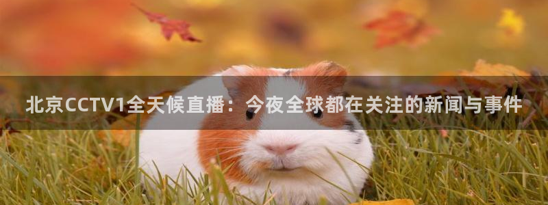 球神直播体育免费观看：北京CCTV1全天候直播：今夜全球都在关注的新闻与事件