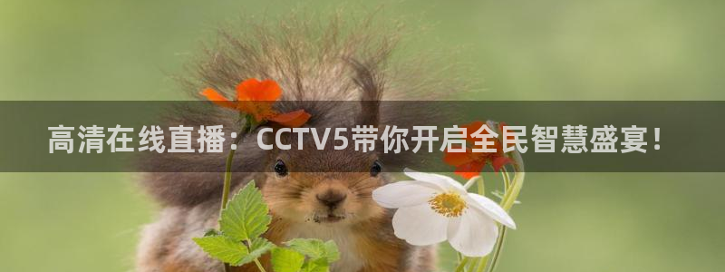 nba直播球神：高清在线直播：CCTV5带你开启全民智慧盛宴！