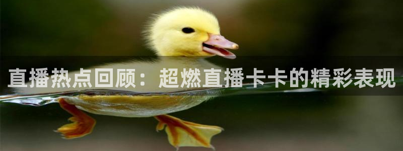 球神直播体育在线观看网址：直播热点回顾：超燃直播卡卡的精彩表现