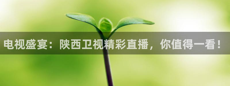 球神直播足球直播在线观看：电视盛宴：陕西卫视精彩直播，你值得一看！