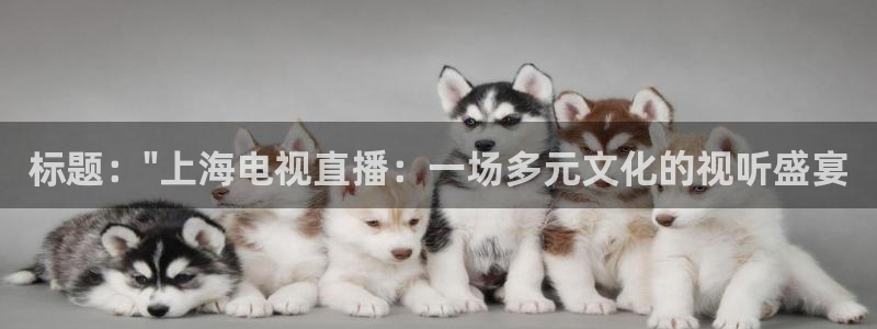 球神直播官网：标题：\